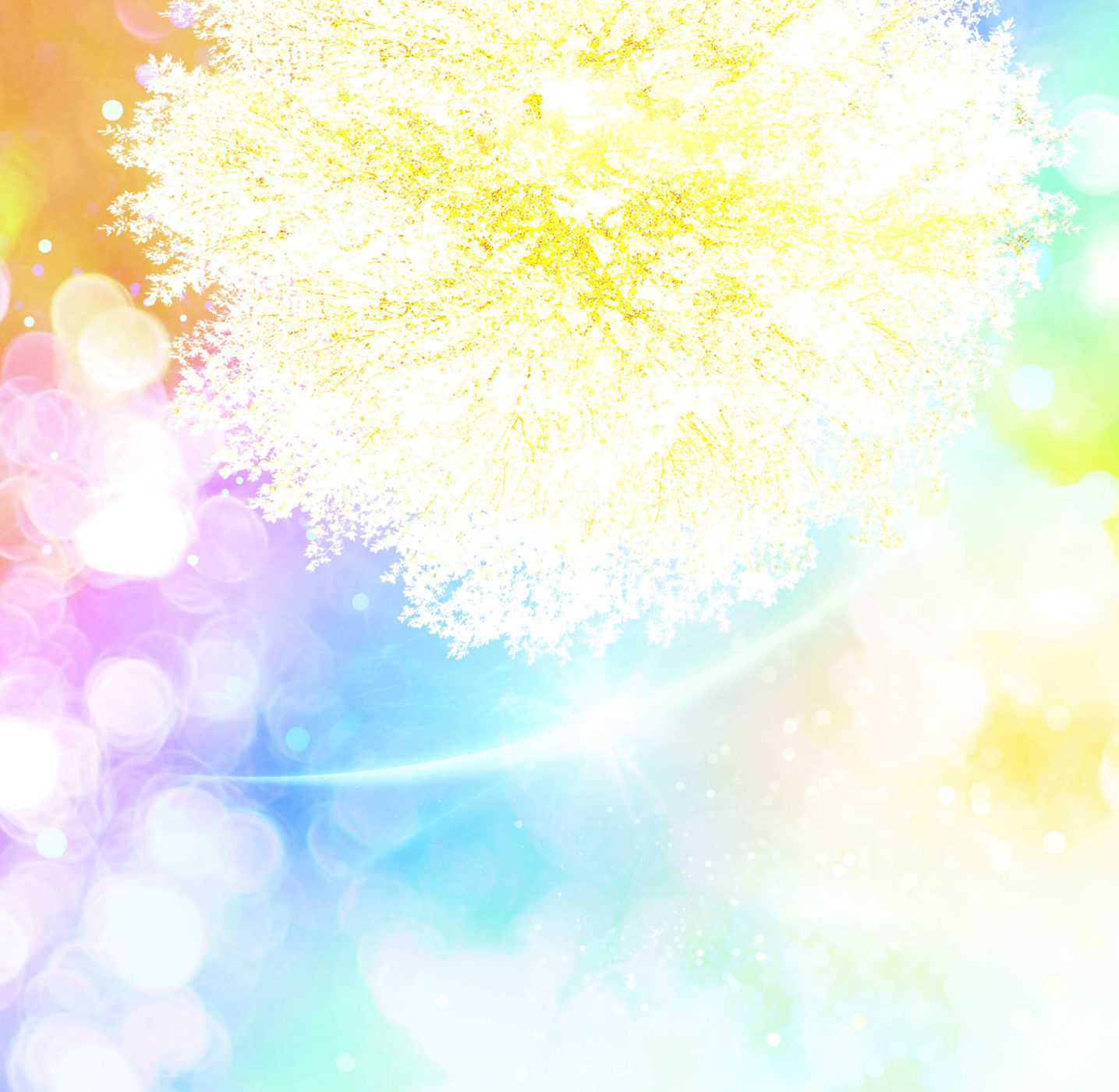 light2
